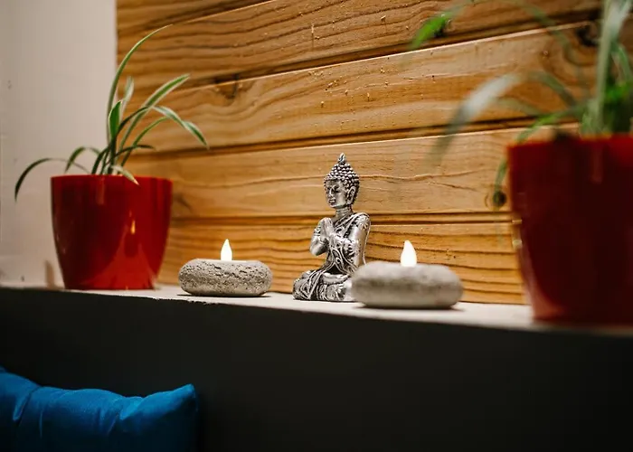 L'alcove Du 510 - - Romantique - Sauna - Salle De Jeux Appartement Montauban